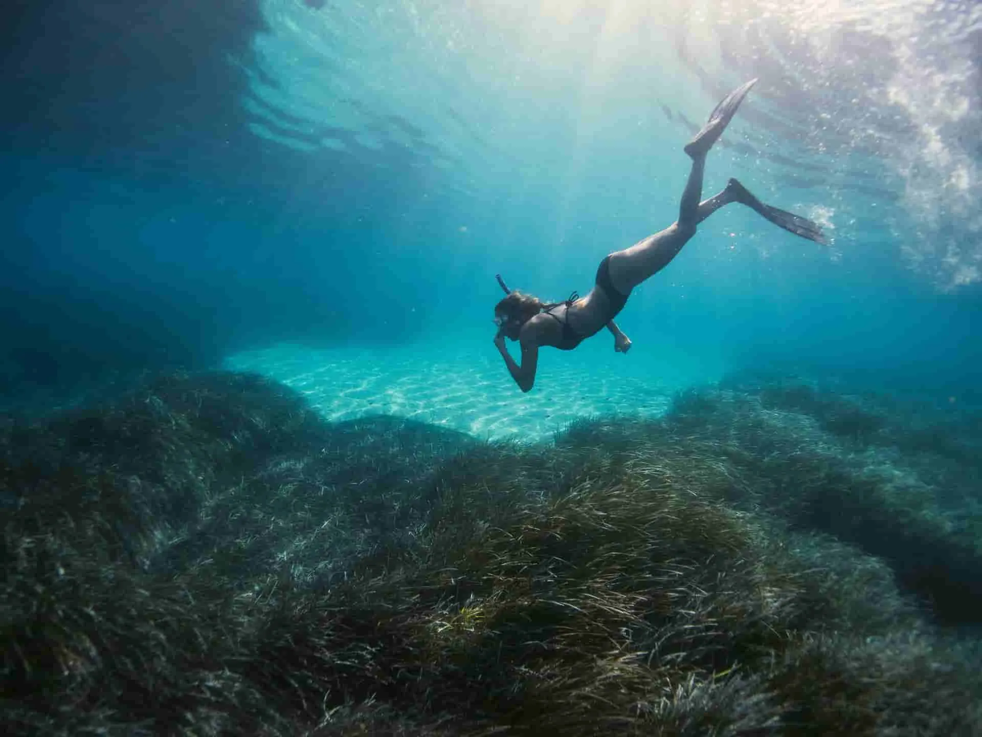 Snorkel y Actividades Acuáticas