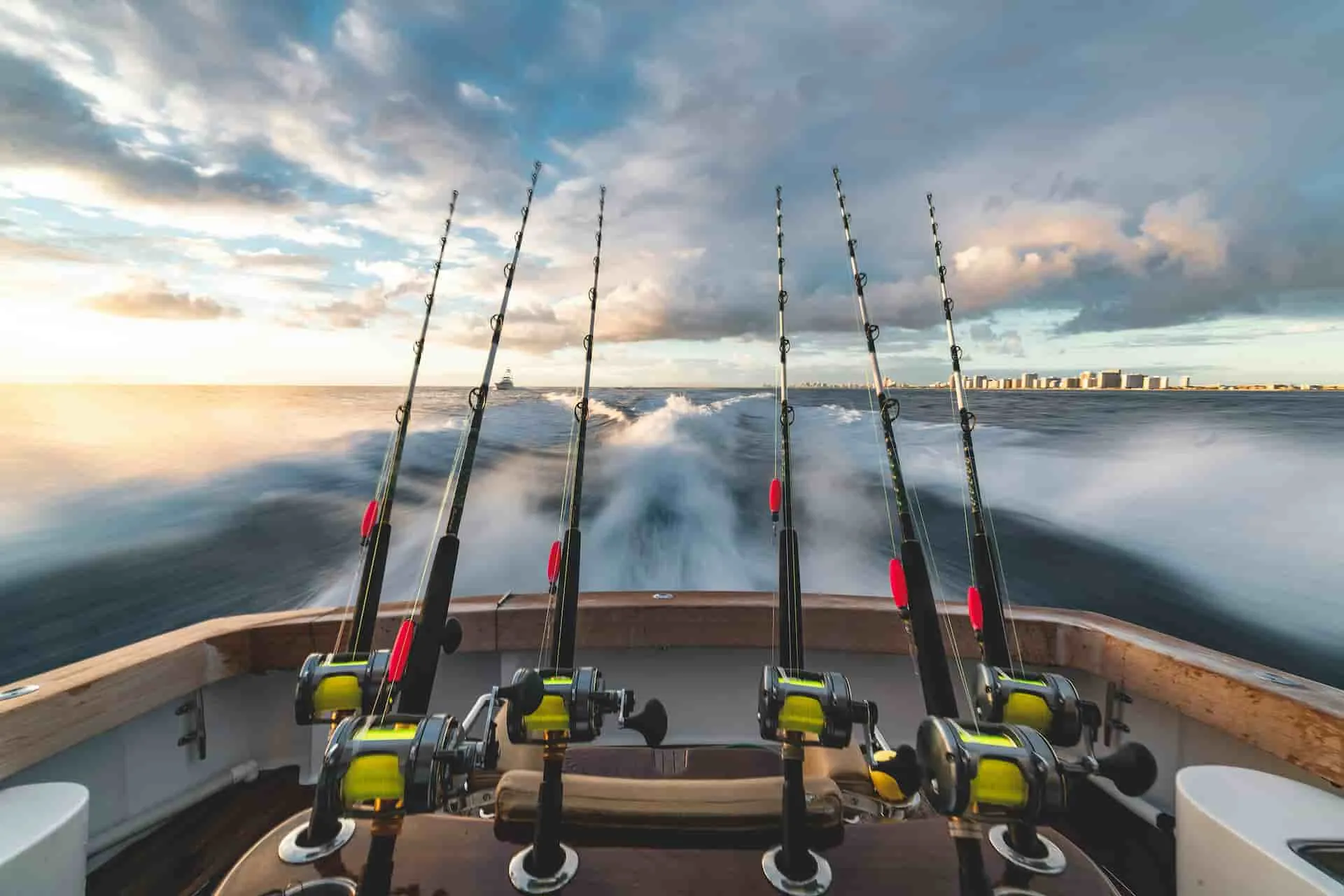 Pesca Deportiva en Alta Mar